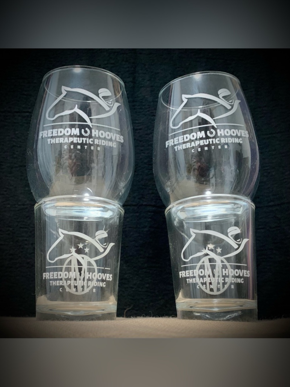 🔍Freedom Hooves Therapeutic Riding Center Glassware Set 2 Stemless + 2 Shot